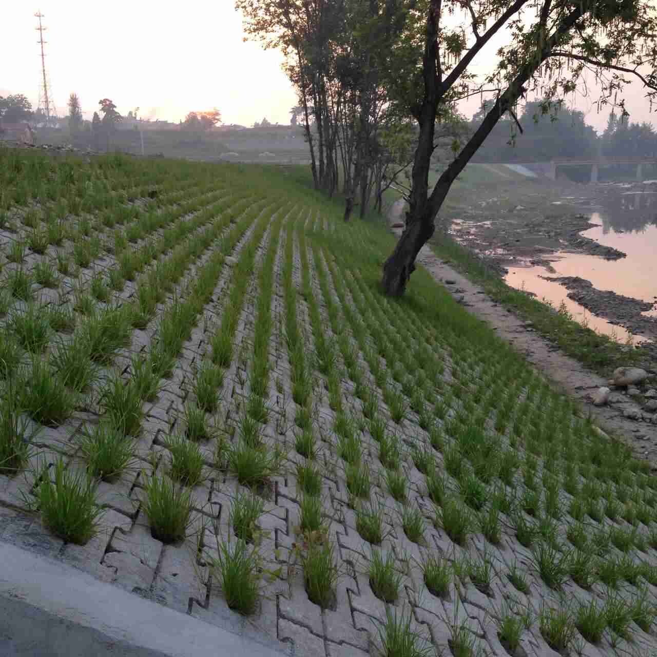 生態(tài)護(hù)坡